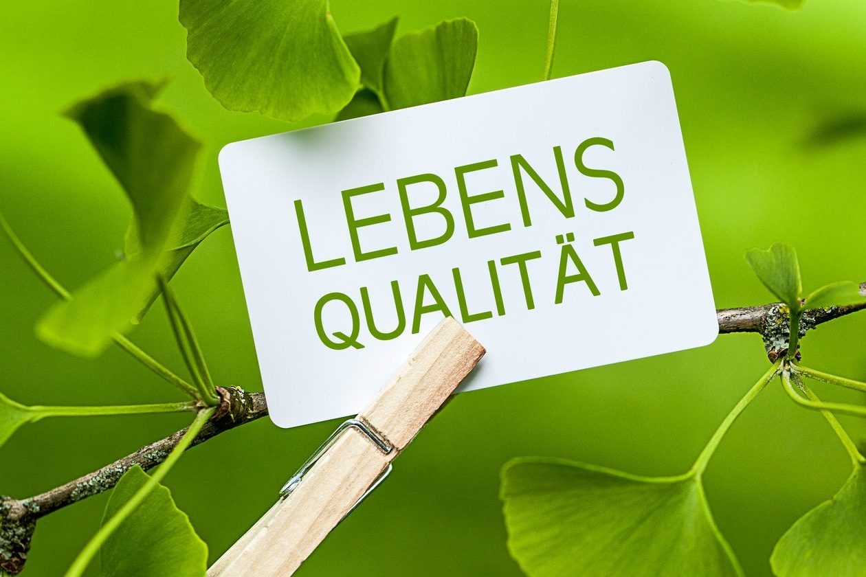 Ziele des Hausbauens